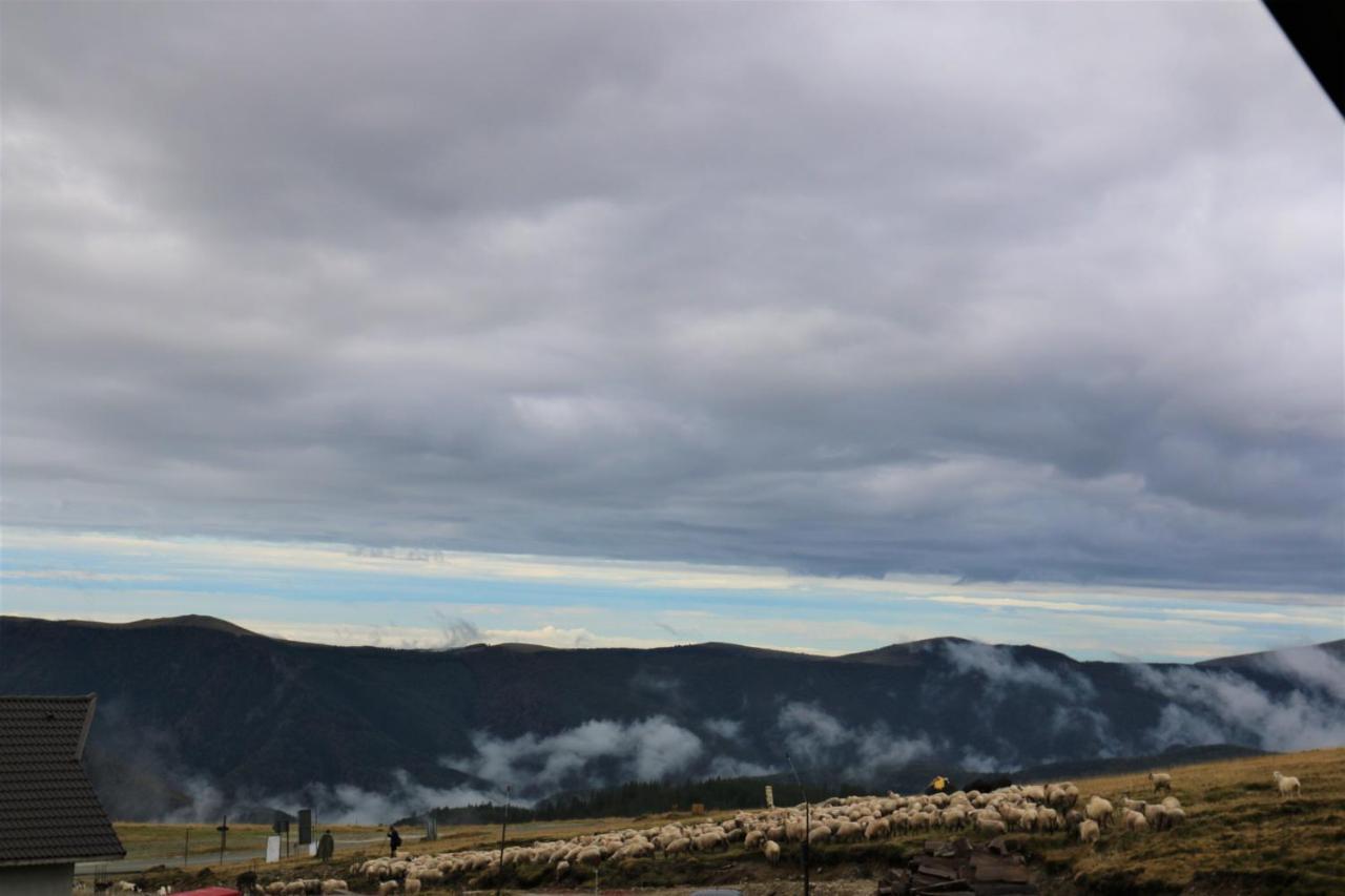 Cabana Transalpina Ranca Exterior foto